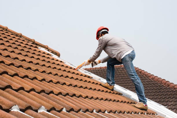 Best Roof Moss and Algae Removal  in Oconto Falls, WI